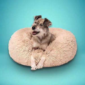 a9004d09f9844f4e42798c66be34acee